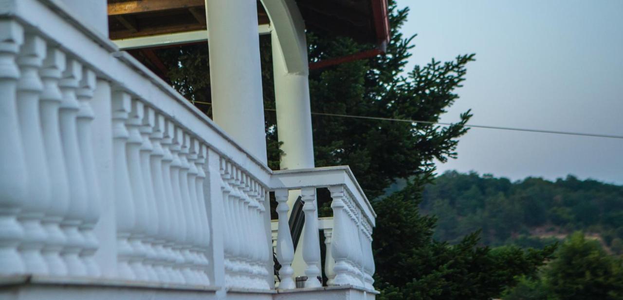 Villa Paradisos Likostomon Exterior foto
